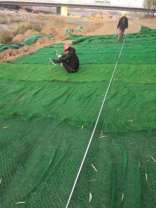 内江三维植被网与土工网垫施工全攻略