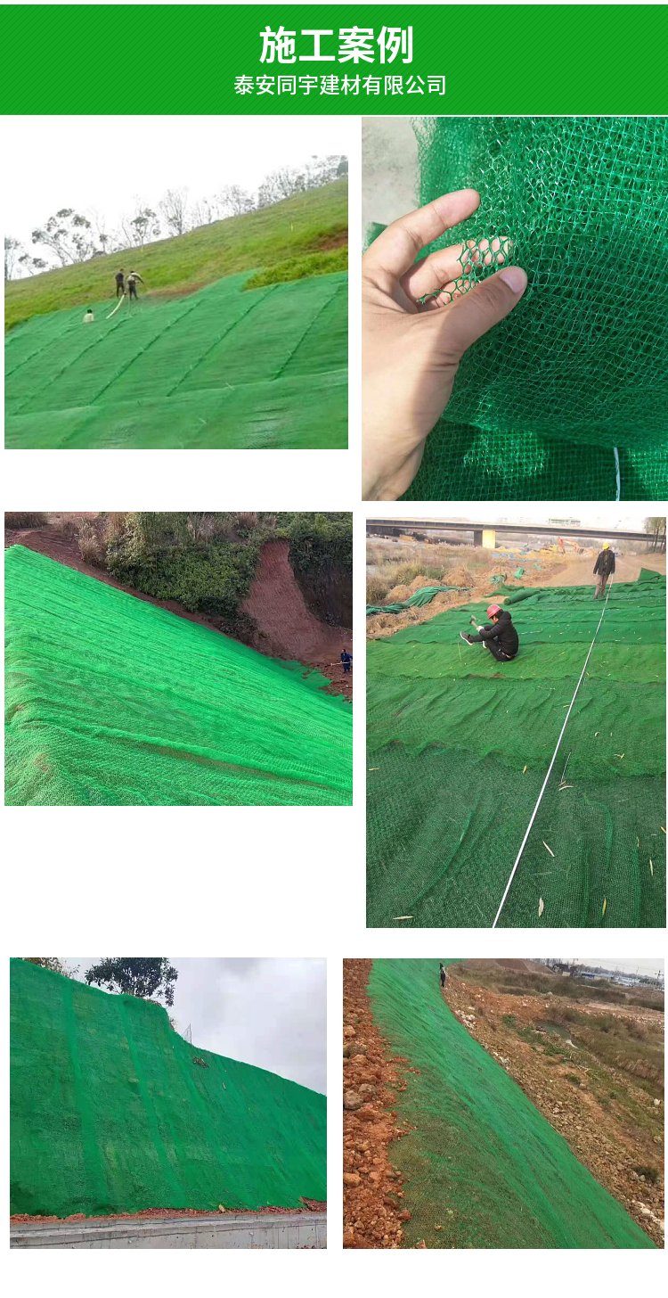 三维土工网垫 植草护坡的最佳选择
