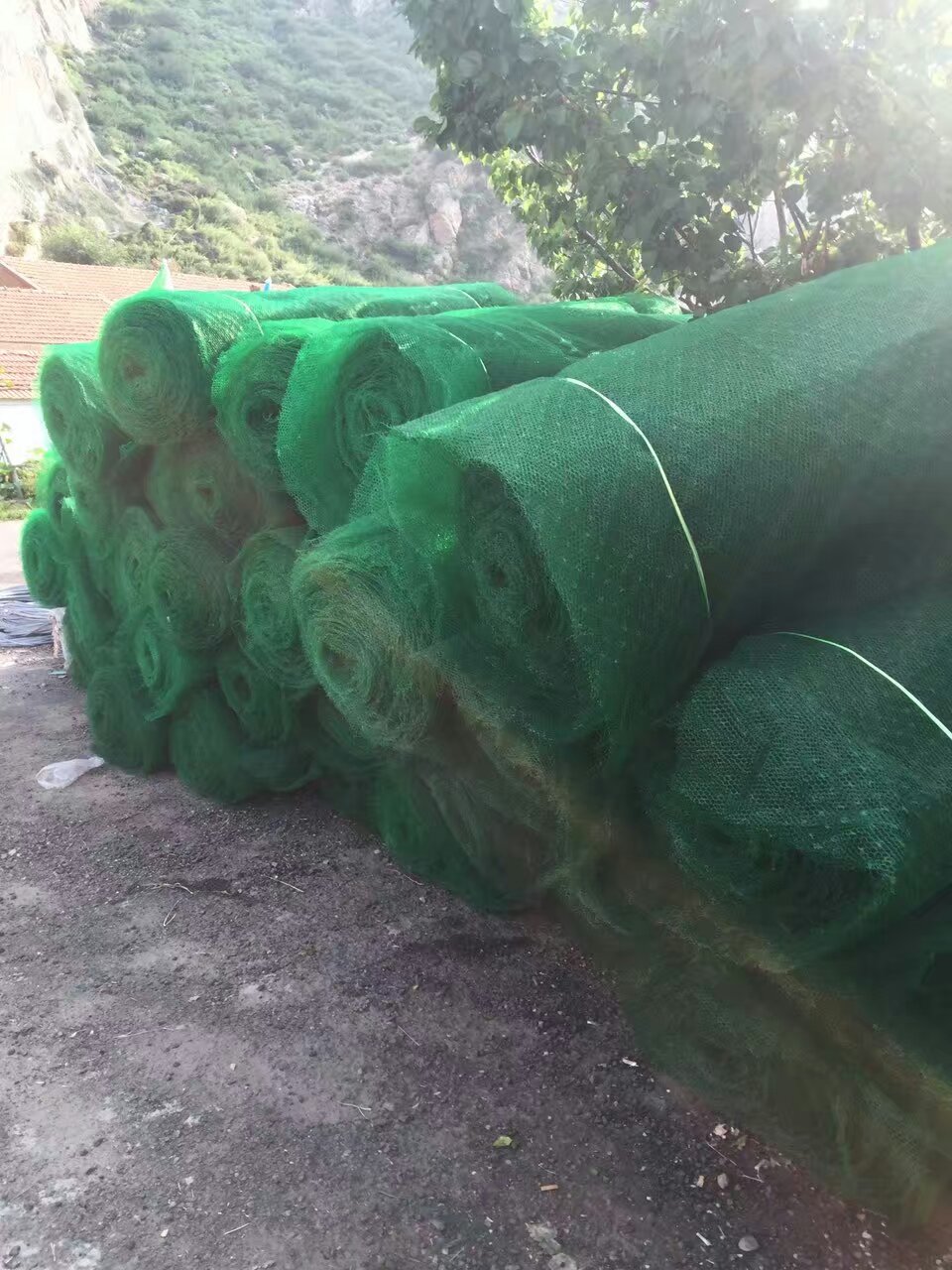 植草护坡土工网 河道与公路边坡的绿色固土新方案