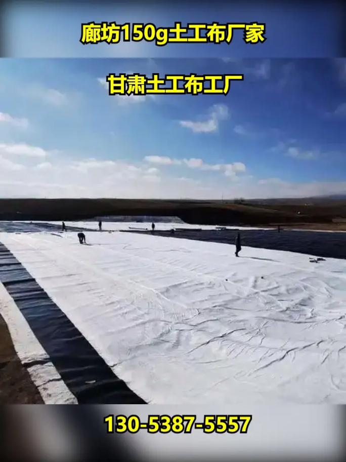 甘肃土工布工厂.您是否在为寻找高质量的土工布而烦恼?