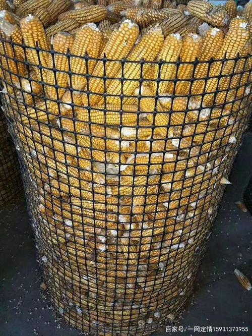 养殖网荷兰网和养殖网土工格栅的优势比较